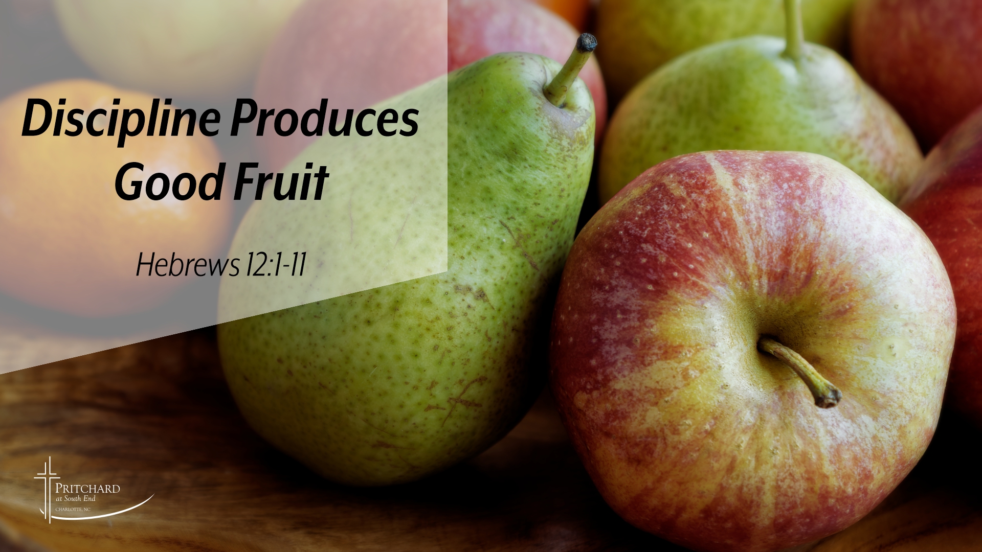 Discipline Produces Good Fruit