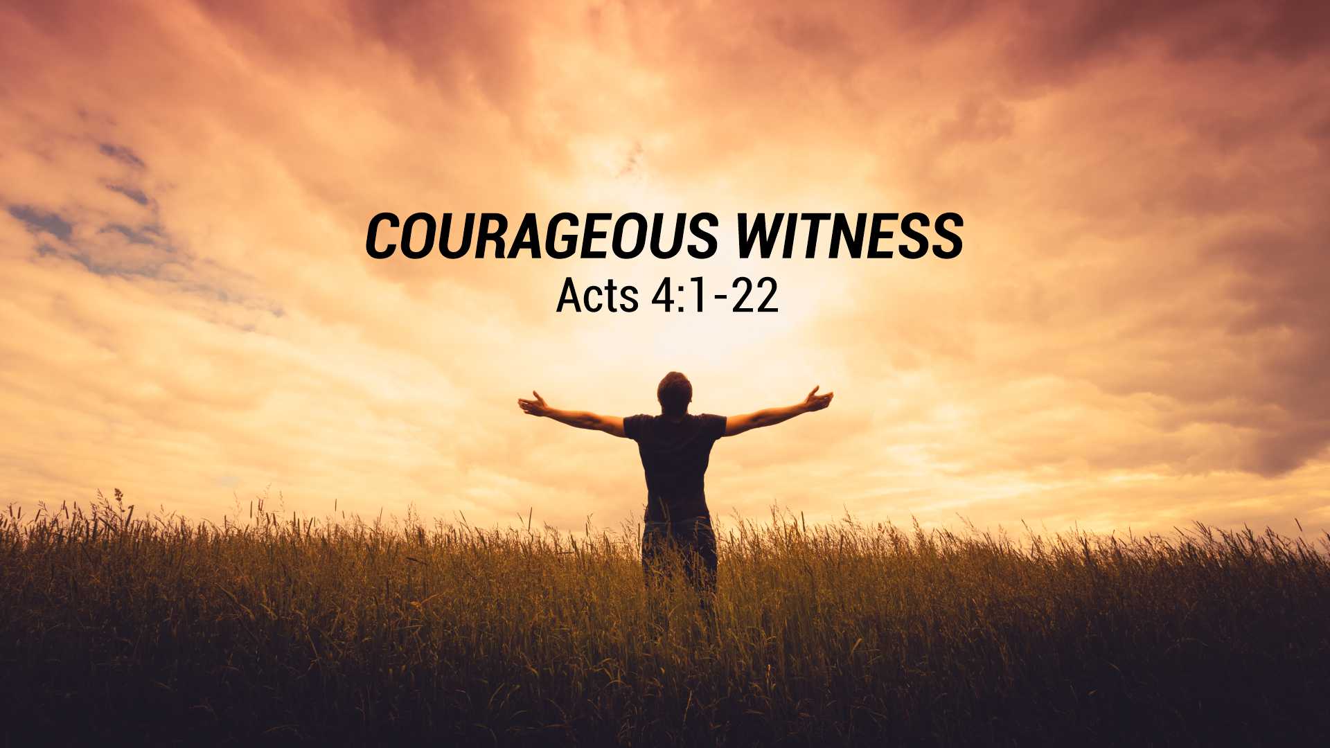 Courageous Witness