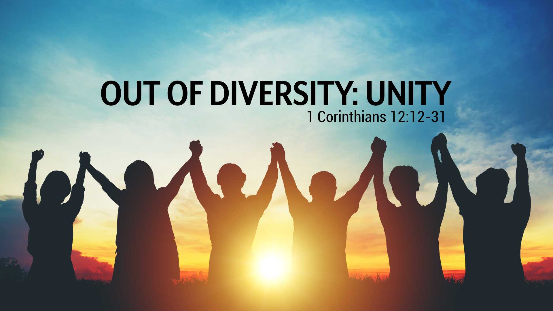Out of Diversity: Unity