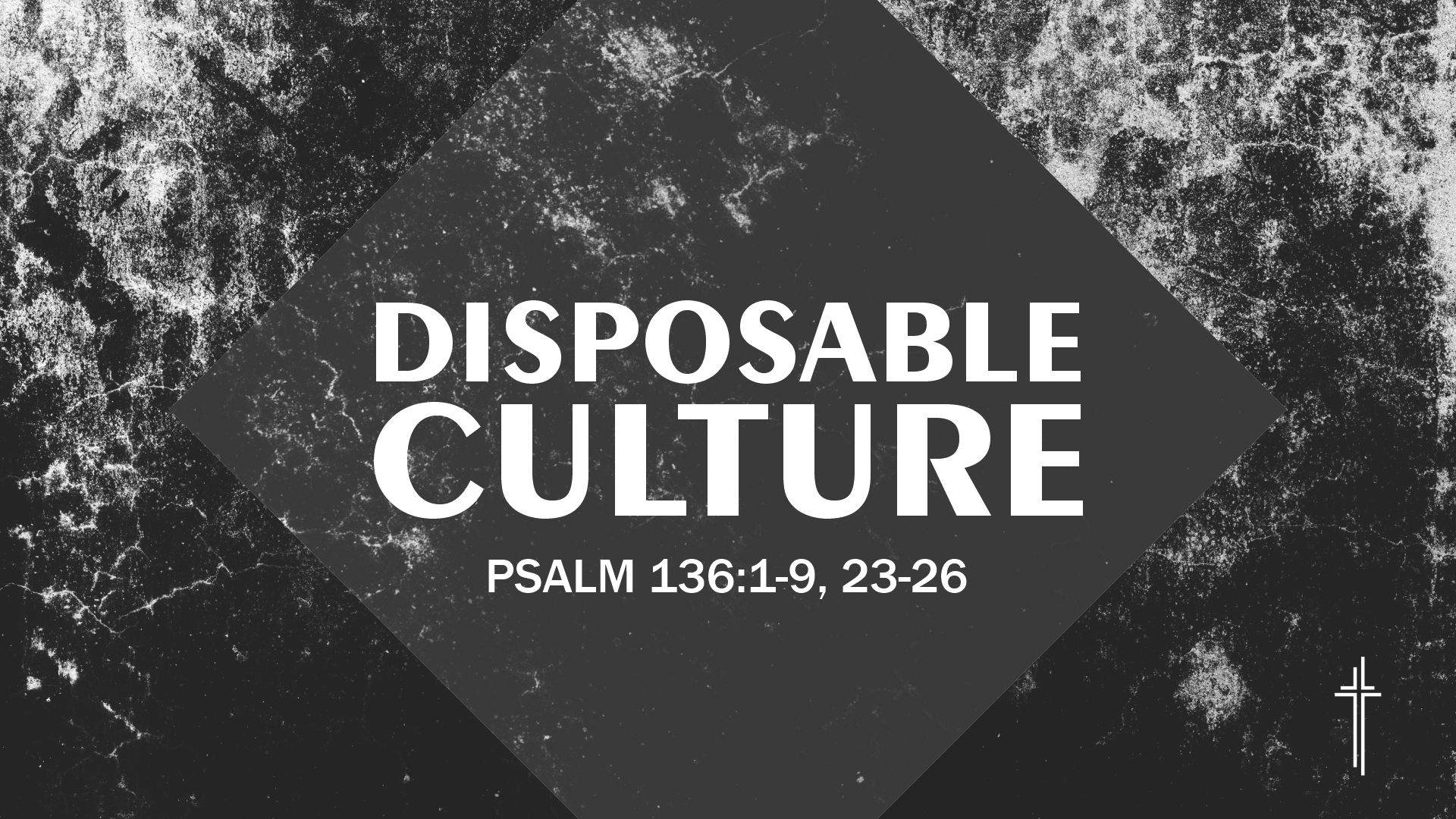 Disposable Culture