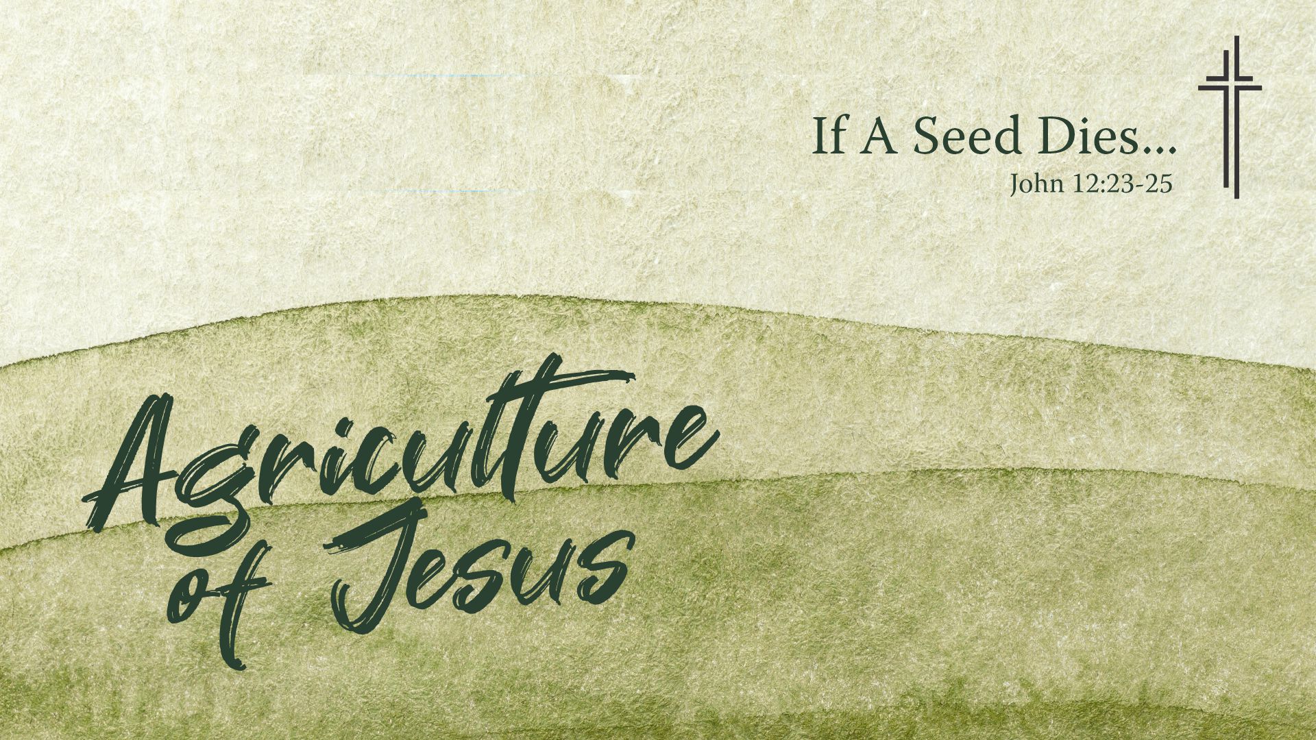 If A Seed Dies...
